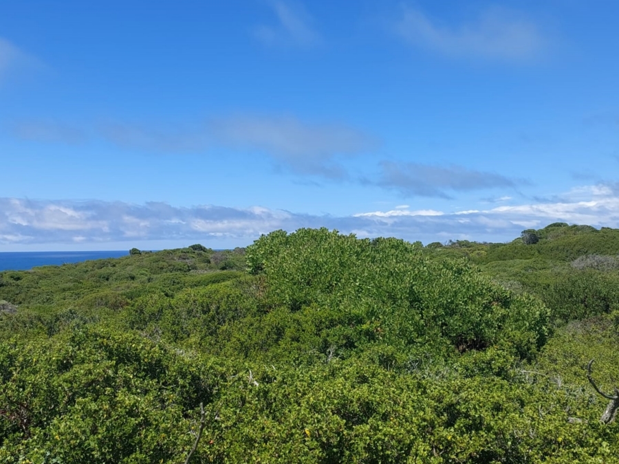 0 Bedroom Property for Sale in Agulhas Western Cape